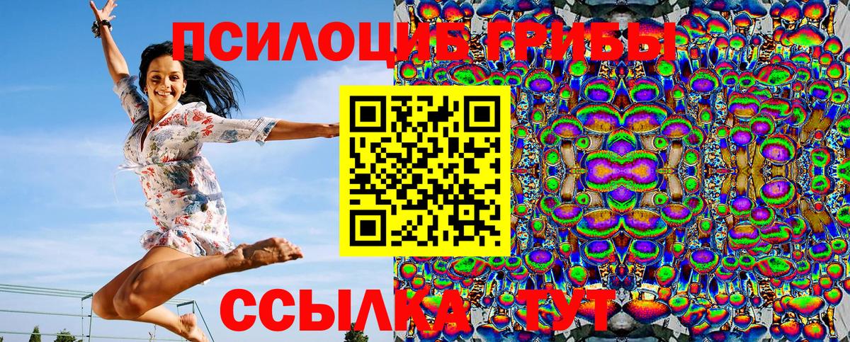 Псилоцибиновые грибы Magic Shrooms Карталы